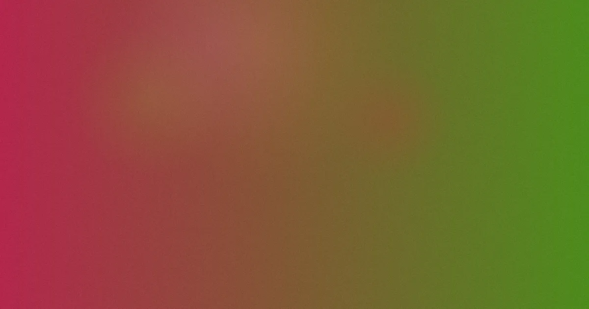 伊人网是什么：一文看明白